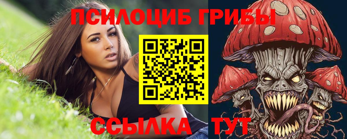 Галлюциногенные грибы Psilocybe  наркошоп  Егорьевск  Вход с VPN 