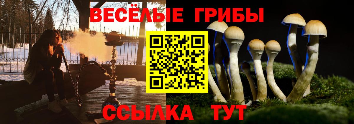 Псилоцибиновые грибы мицелий Егорьевск